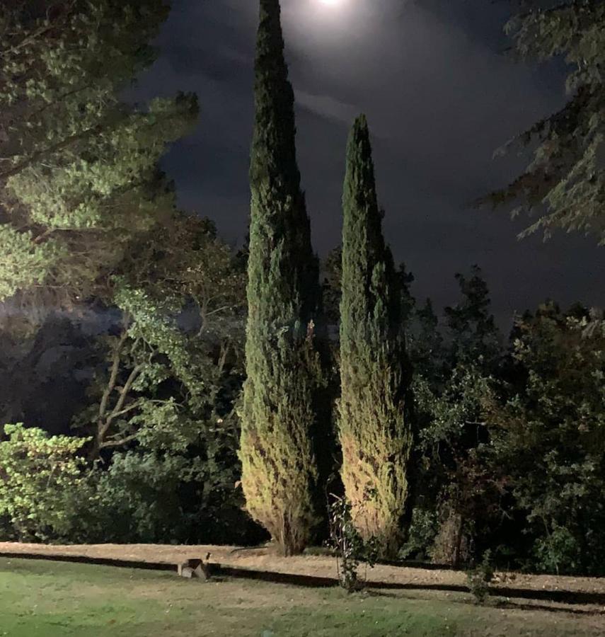 Sant'Albino Villa Poggio Fagianino מראה חיצוני תמונה
